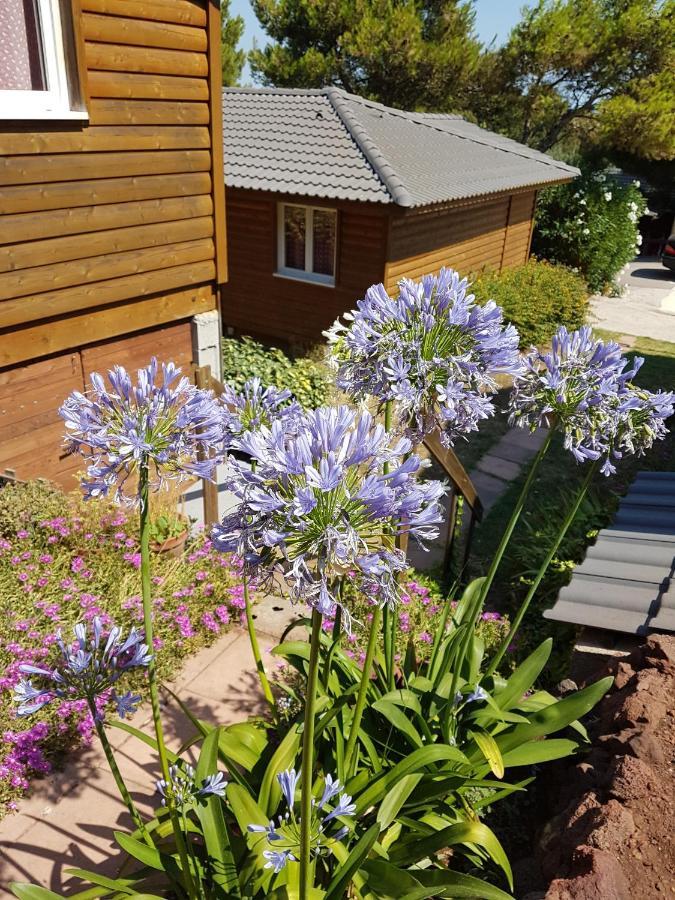 Parc Residentiel Les Hauts De Baldy Vakantiepark Agde